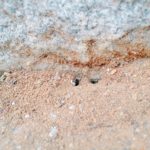 「窓の外」に焦がれて、「通路」を作る