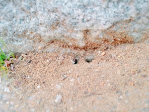 「窓の外」に焦がれて、「通路」を作る