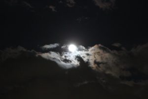 属性別「ダークサイドに堕ちた時の症状」