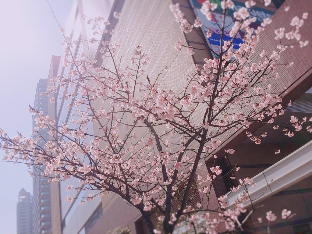 共に生きる」という言葉を広い意味で捉える | エレメンツコード