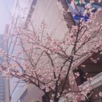 「共に生きる」という言葉を広い意味で捉える