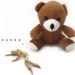 「熊」と「人間」の難しい関係性