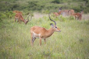 分かり合える前提の地獄、分かり合えない前提の幸せ