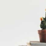 「地」の人の才能が開花しやすいコミュニティが持つ４つの「機会」