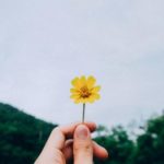 「水地」の人が「火風」の常識に合わせて頑張る必要はない