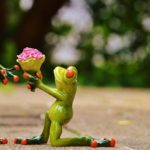 愛するならば「水」を使おう