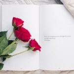 【保存版】誰もが誰かのサポーター ~3つのタイプ別サポート~