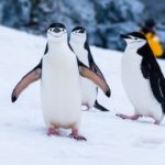 「ありのまま」生きていきたいなら、やってはいけないことがある