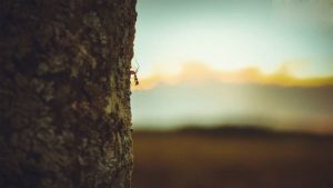 エレコの文化・価値観の拡大は、〇〇の社会スタイルに学ぶ