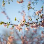 あなたの努力を、能力を、認めてくれる世界へ行こう