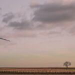 「稼げるべき金額が稼げる」という現実の掴み方（能力・才能があるはずなのに稼げない理由）